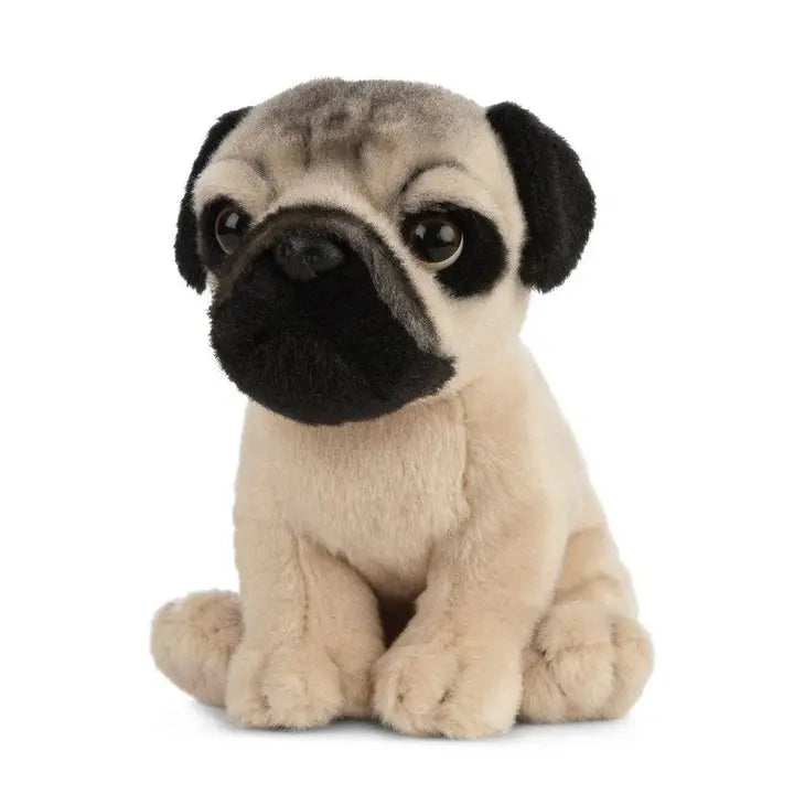 Living Nature | Pug Puppy